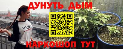 гидра Ярославль