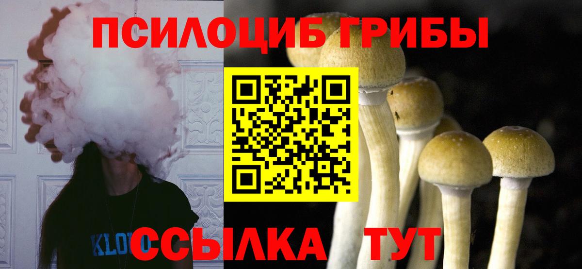 Галлюциногенные грибы Psilocybine cubensis  Вход с VPN  Долгопрудный  Галлюциногенные грибы MAGIC MUSHROOMS 
