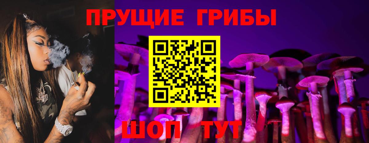 Галлюциногенные грибы GOLDEN TEACHER Долгопрудный